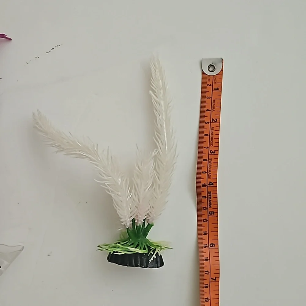 Aquarium or fish tank plants